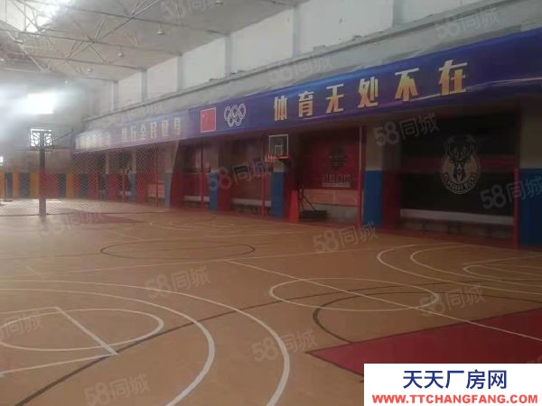 道外籃球館出租，高舉架，籃球公園出租籃球場地出租