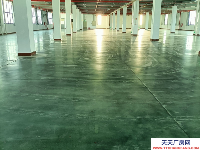 (出租) 各項環評可過，高標準廠房可分租！消防到位，3噸大貨梯！適合預制菜加工