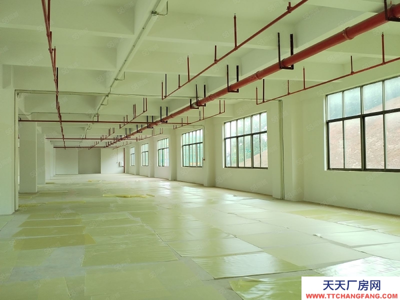 (出租) 梅州梅江大車出入方便適合做電子廠，制衣廠等各種加工廠