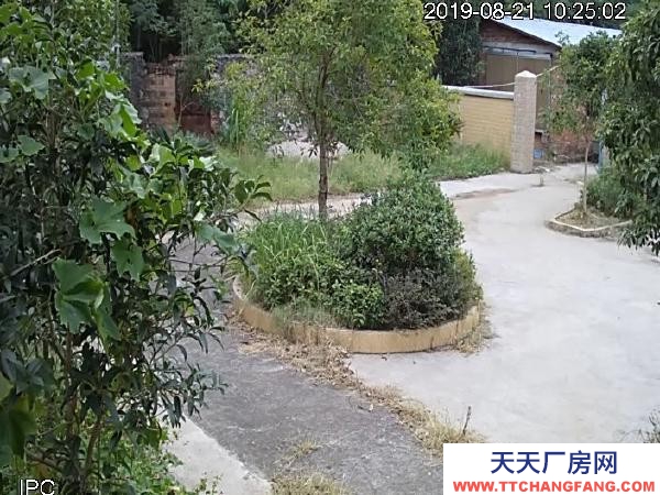 永州市東安蛋白飲料廠房 此廠房路、電、水、網通暢，適合作農莊，廠房，倉庫等。