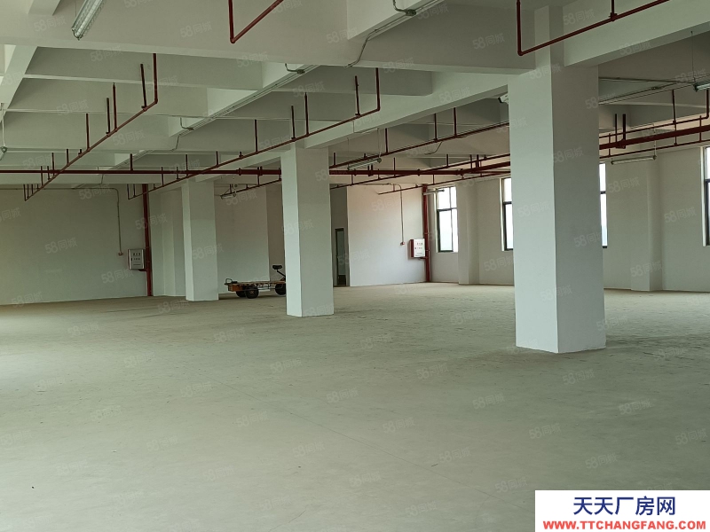 (出租) 梅州梅江江南標準廠房大貨梯有消防，適合烘培糕點