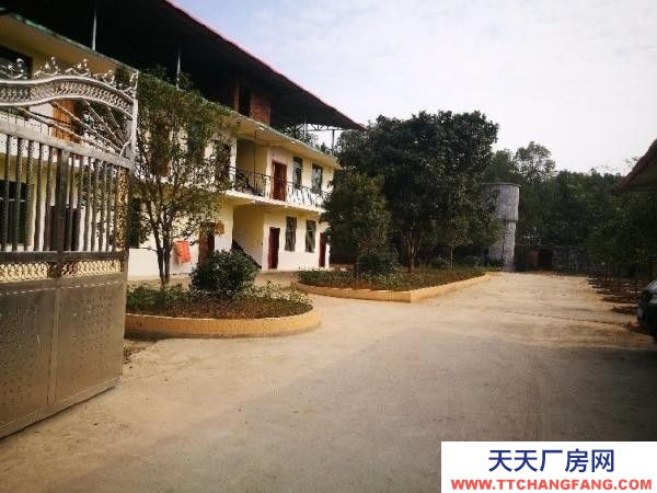 永州市東安調味面制品廠房 大型廠房整體出租或分棟出租