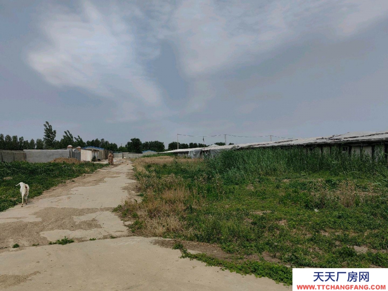 邢臺 巨鹿 (出租) 交通方便有三相電有水