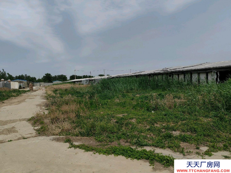 邢臺 巨鹿 (出租) 交通方便有三相電有水