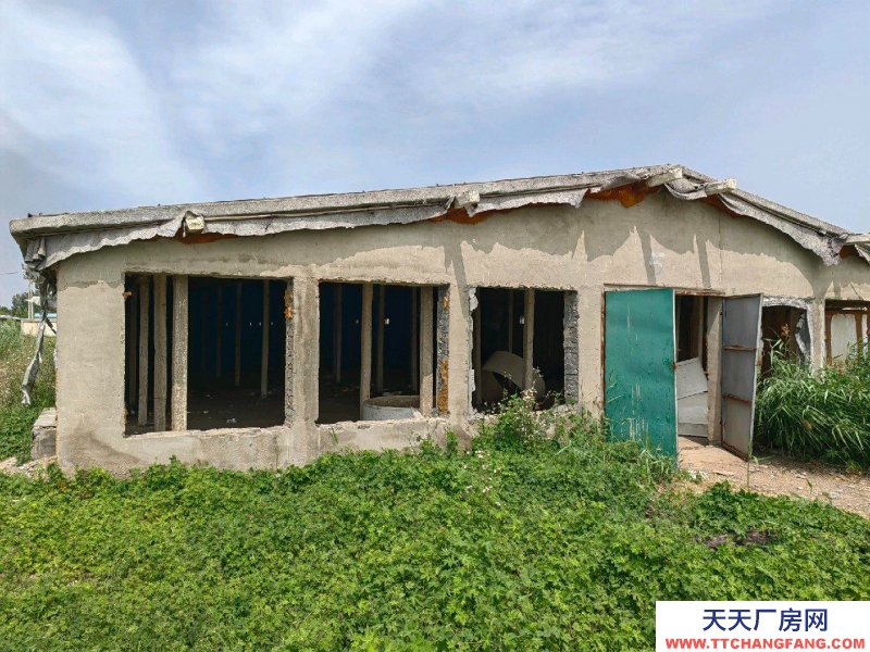 邢臺 巨鹿 (出租) 交通方便有三相電有水