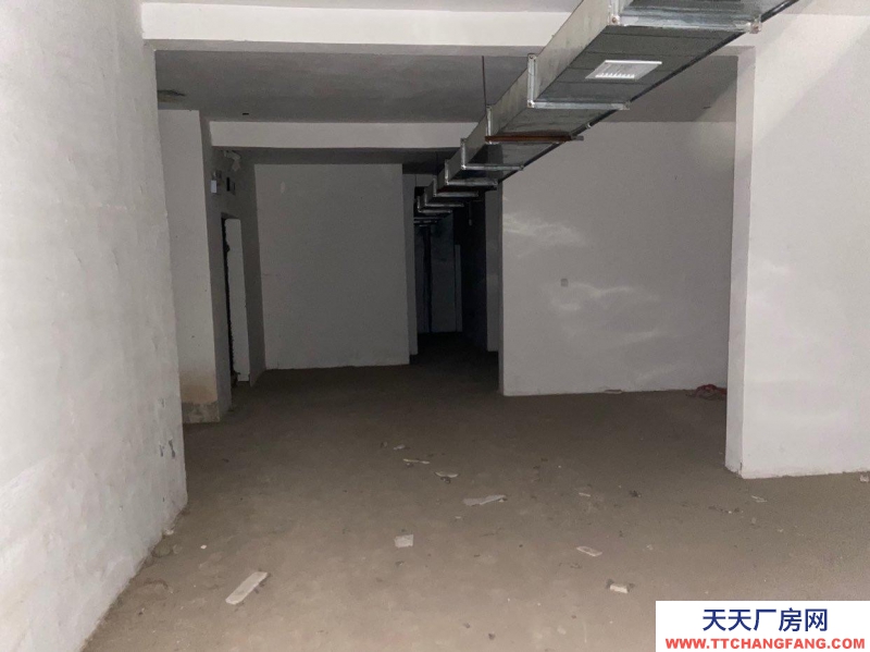 邢臺 巨鹿 (出租) 出租地下室倉庫699平米