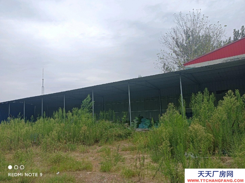 邢臺 廣宗 (出租) 位于開發區,交通便利 食用油、油脂及其制品廠房