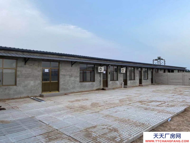 邢臺 廣宗 (出租) 自建養(yǎng)豬場,可容納1800頭肥豬歡迎老板咨詢