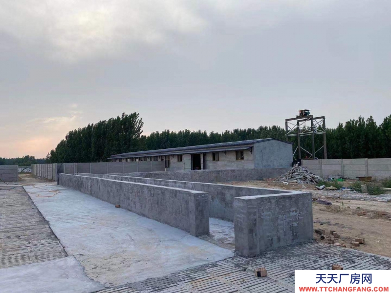 邢臺 廣宗 (出租) 自建養(yǎng)豬場,可容納1800頭肥豬歡迎老板咨詢