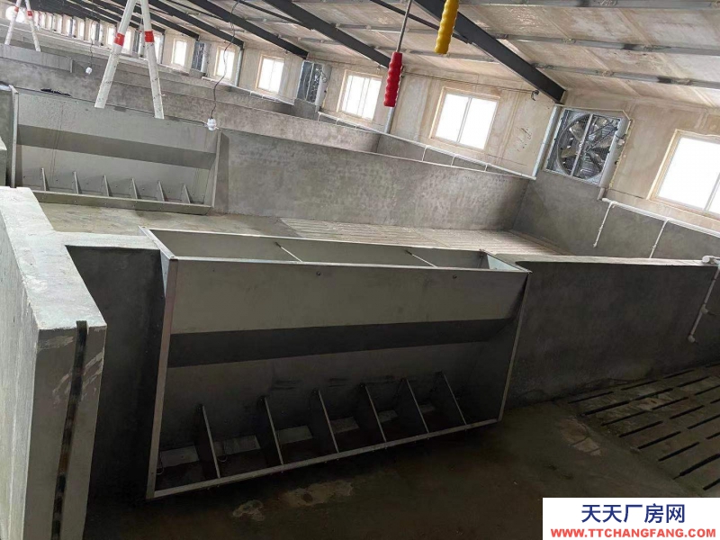 邢臺 廣宗 (出租) 自建養(yǎng)豬場,可容納1800頭肥豬歡迎老板咨詢