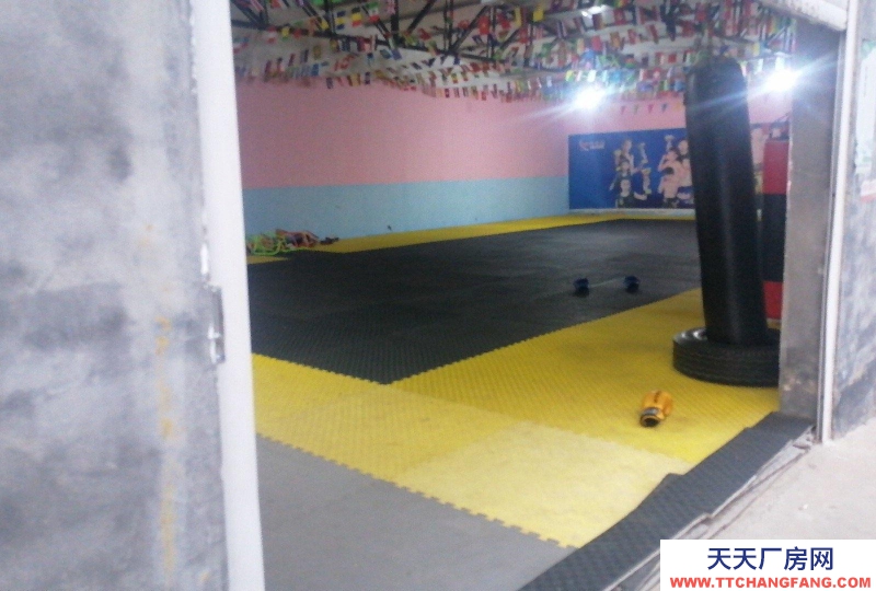 邢臺 廣宗  (出租) 房源 個人 原武術(shù)訓(xùn)練廳 建宇2019年