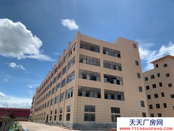 永州市藍山調味料廠房 共五層，在層，，