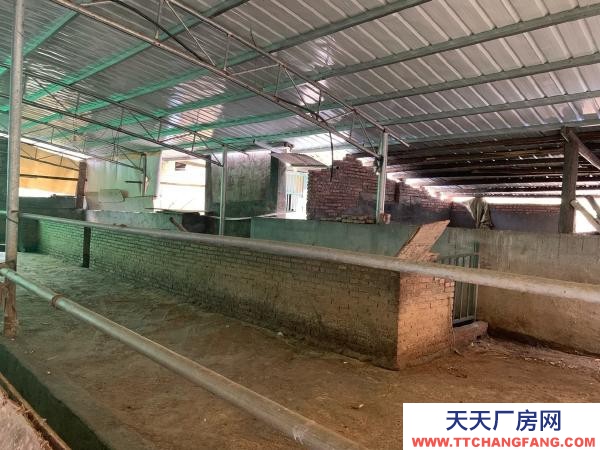 永州市雙牌養殖廠房 適合畜牧業養殖，牛羊雞鴨豬