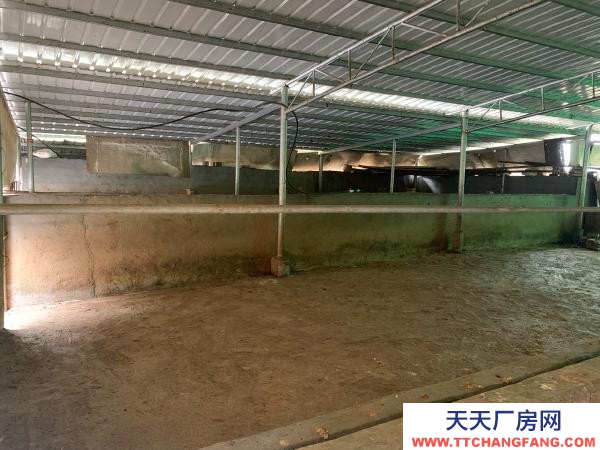 永州市雙牌養殖廠房 適合畜牧業養殖，牛羊雞鴨豬