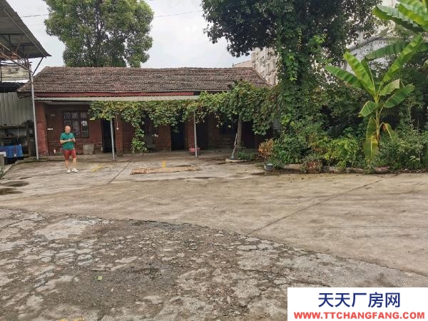 婁底市婁星物資倉庫 獨立院落，環境雅靜，周邊無民居