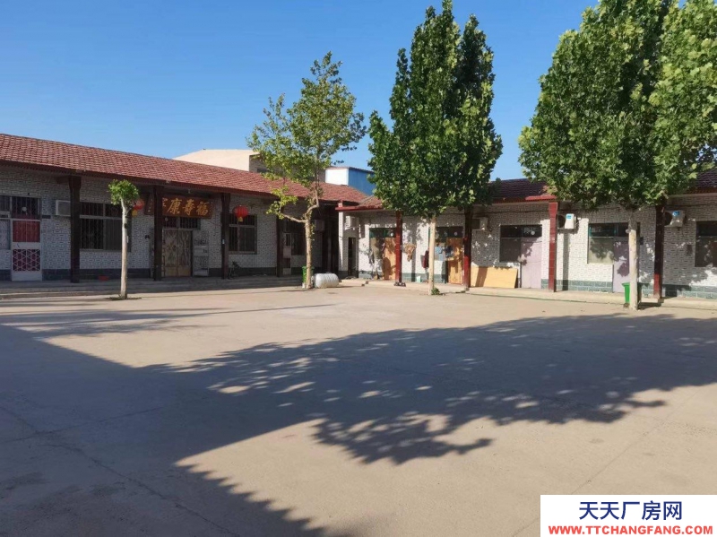 邢臺 威縣 (出租) 大廣高速下道口附近精裝大院出租