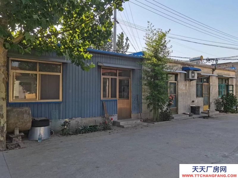 邢臺 威縣 (出租) 大廣高速下道口附近精裝大院出租