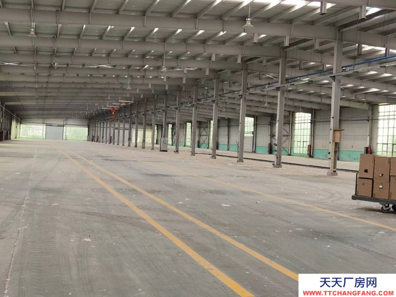 邢臺 威縣 (出租) 高速路口，地理位置優越，價格面議