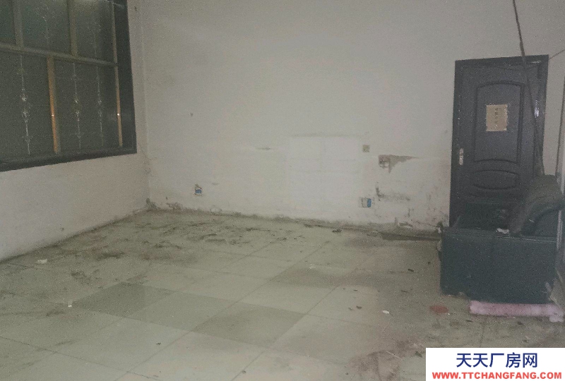 邢臺 清河 (出租) 小屯龍飛保健食品園西1000米路南