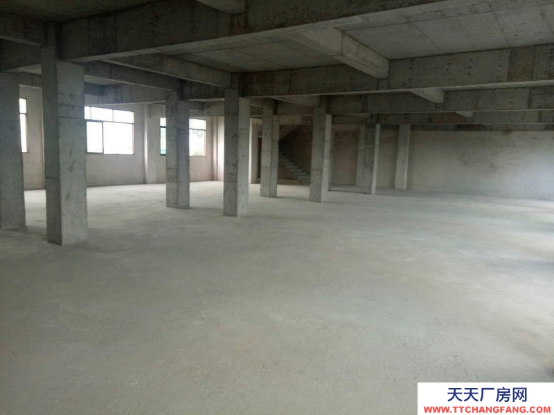 (出租) 梅州豐順湯坑東里國道邊 倉庫商鋪廠房 800平米適合小型加工倉庫