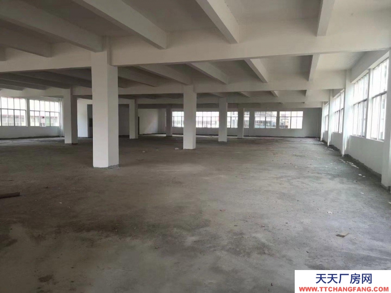 (出租) 梅州五華整棟出租1-5層1350平方每層有地梯適合醫療電子玩具等