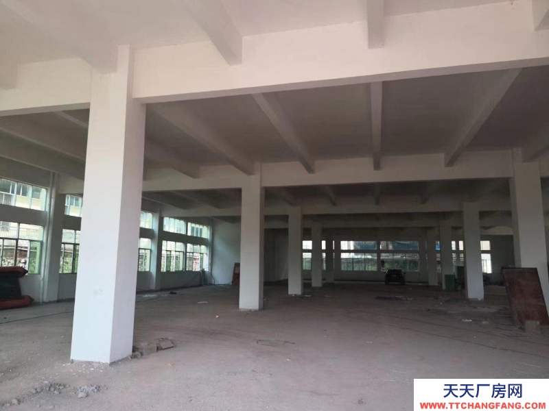 (出租) 梅州五華整棟出租1-5層1350平方每層有地梯適合醫療電子玩具等