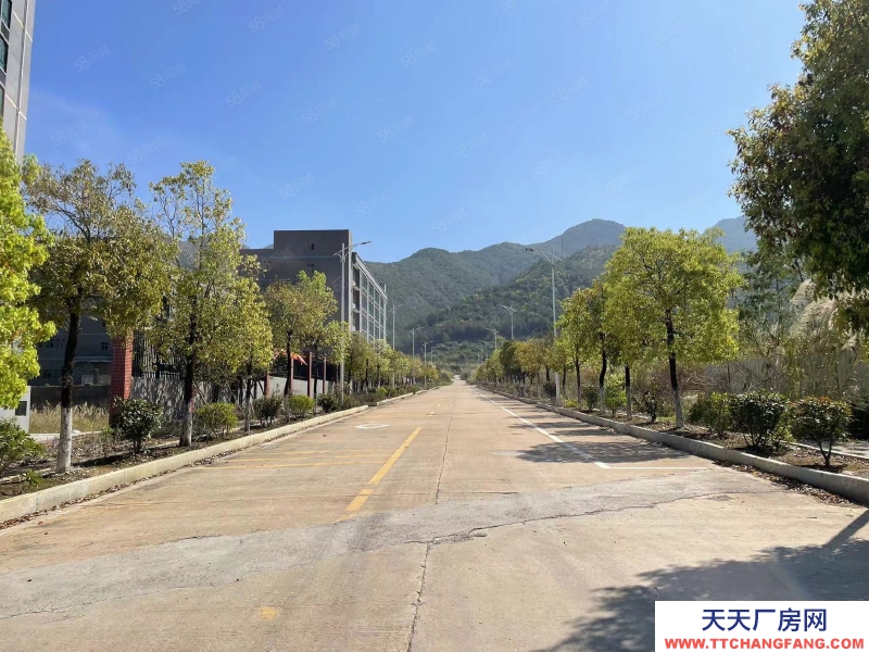 (出租) 梅州蕉嶺全新廠房免租兩年，交通便利位置好，蕉嶺泰然健康產業園適合食品研發醫療行業