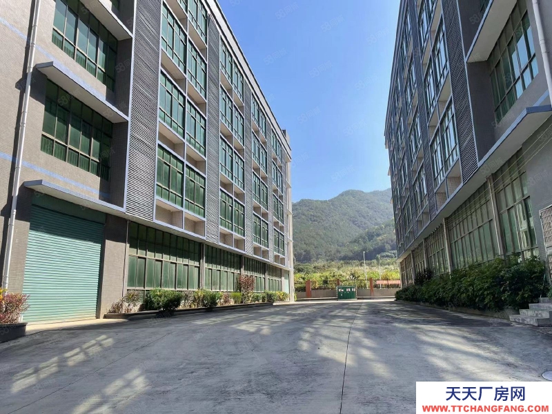 (出租) 梅州蕉嶺全新廠房免租兩年，交通便利位置好，蕉嶺泰然健康產業園適合食品研發醫療行業