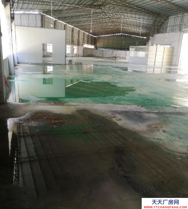 (出租) 梅州興寧洋里附近標準鋼結構配變壓器且大拖頭易進出，可做機械加工