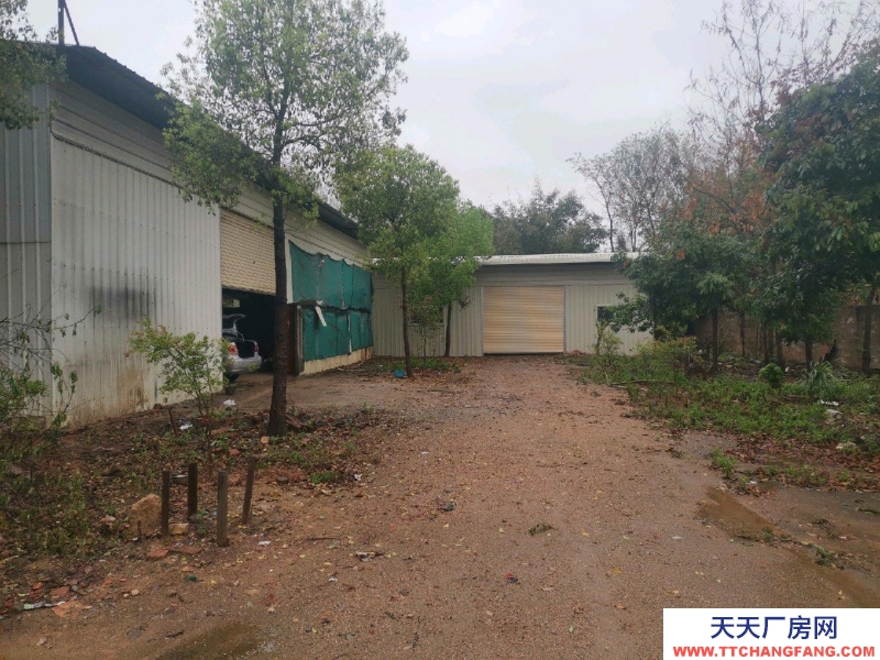 (出租) 梅州興寧四周圍墻，內(nèi)有空地，水，三相電可做五金機(jī)電