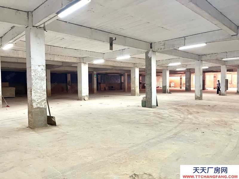 (出租) 梅州梅江環城路五里亭2000平方，標準設備倉庫出租