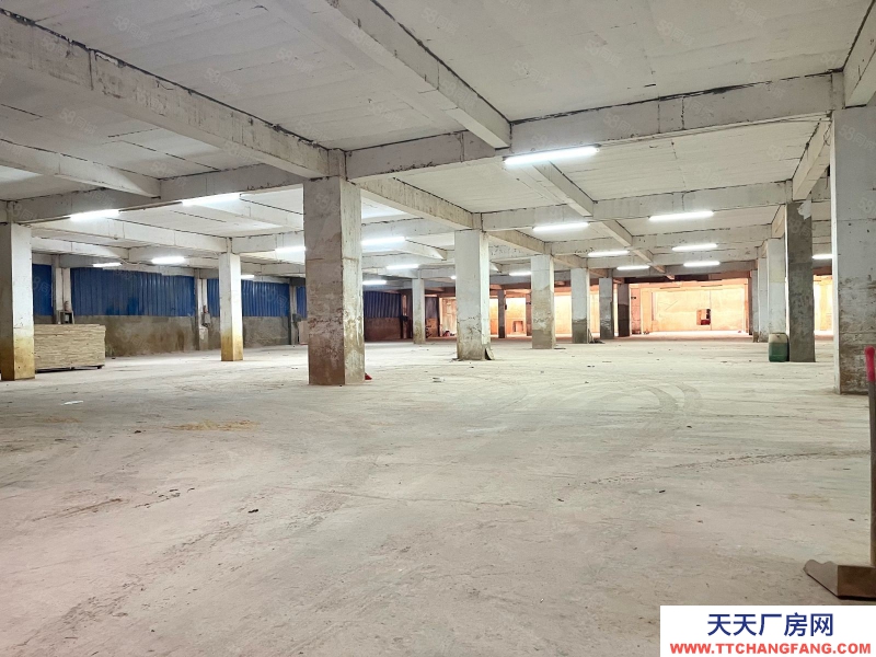 (出租) 梅州梅江環(huán)城路五里亭2000平方，標(biāo)準(zhǔn)設(shè)備倉庫出租