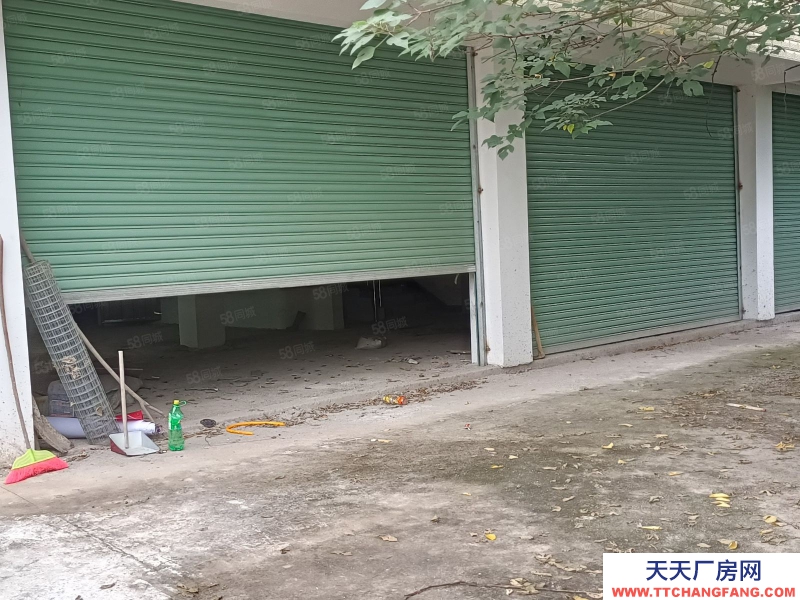 (出租) 梅州梅江江南中心連卡店鋪450平方。全打通可當倉庫用