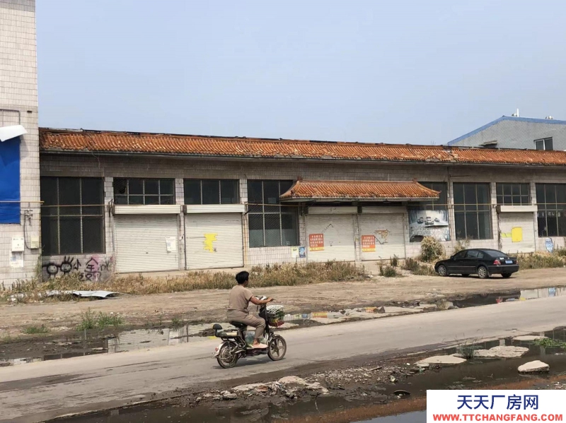 邢臺 臨西  速凍食品廠房(出租) 出租臨西臨西城區河西鎮汽車站院落