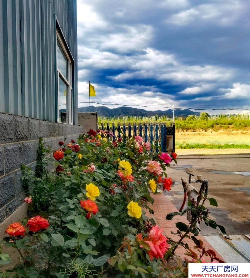 張家口 橋東 糧食加工品廠房出租) 張家口市寧遠機場附近1200平米廠房出租