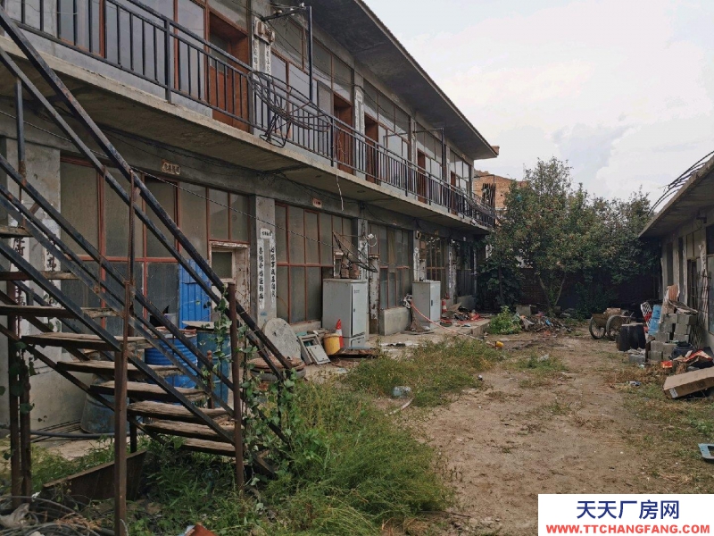 (出售) 新城出租或出售有意者聯(lián)系