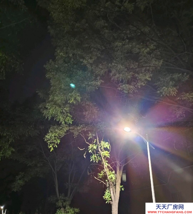 (出租) 新城倉庫低價(jià)出租車庫交通方便