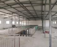 (出租) 周口商水個人房源，水電齊全，非誠勿擾