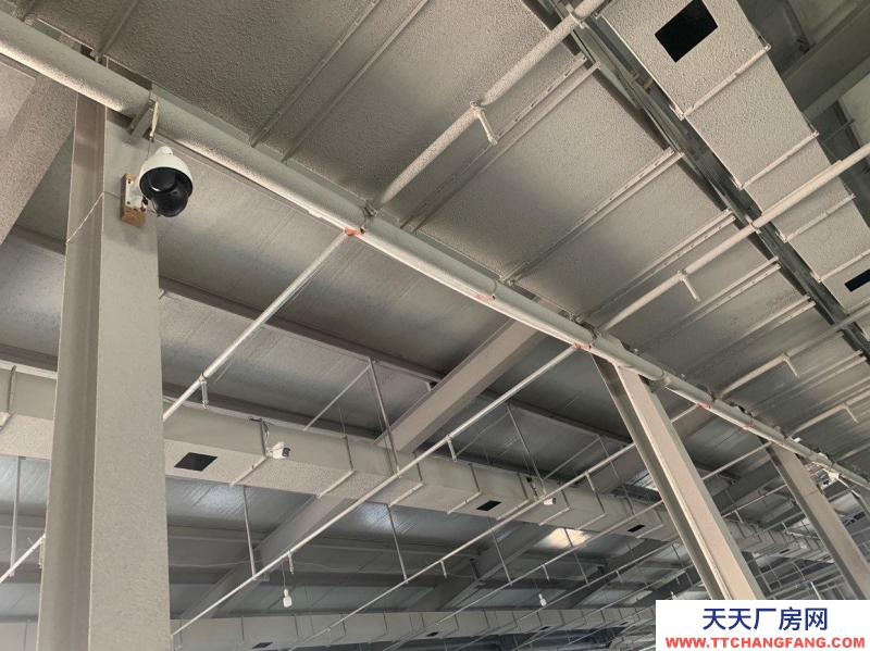 (出租) 玉泉自有產權、獨門獨院食品倉庫。配有免費辦公室、水電、網絡、宿舍