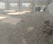 (出租) 周口商水地方寬敞，多個車位方便停車