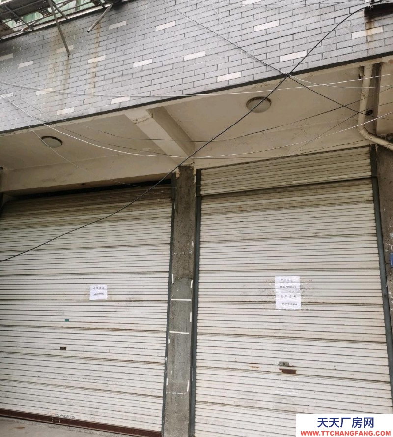 紹興市嵊州(出租) 倉庫位于嵊州市三江街道紅旗幼兒園對面