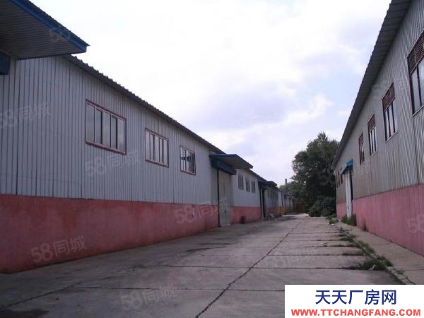 香坊區四認證倉庫800平米高標準常溫庫出租可分租