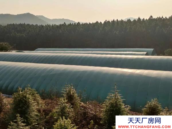 婁底市冷水江養(yǎng)殖廠房 虧本急售。有意者請聯(lián)系我