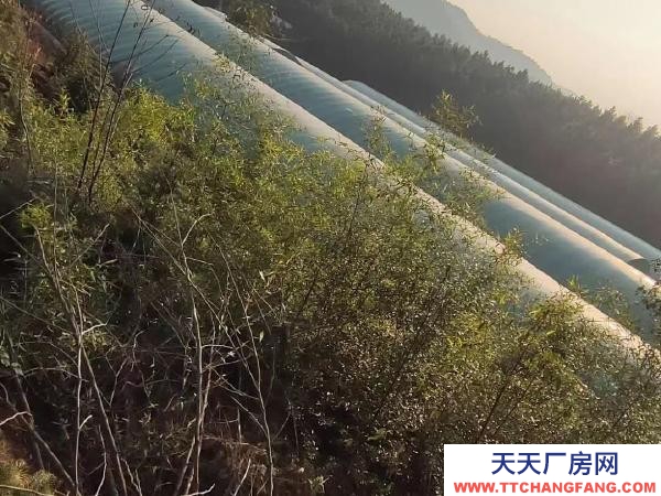 婁底市冷水江養(yǎng)殖廠房 虧本急售。有意者請聯(lián)系我