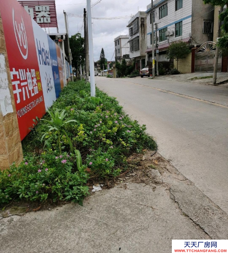 (出租) 梅州興寧保健院到北環(huán)路（新國(guó)道）中間電器倉(cāng)庫(kù)