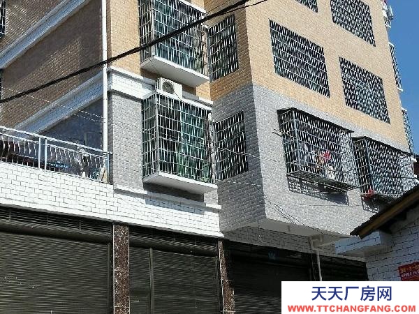 婁底市雙峰物資倉庫 四門面出租（廠房倉庫）