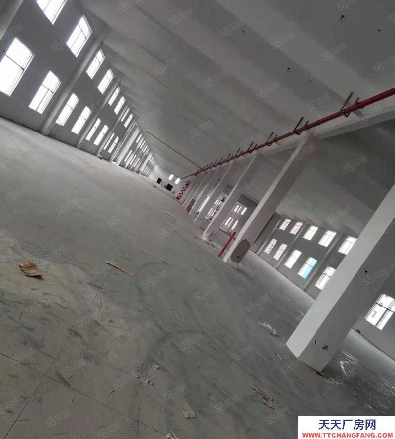 金華市金東(出租) 鞋塘全新廠房單層5000平,位置好適合電商生產企業