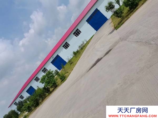 呼蘭區(qū)高速口交通便利調味品廠房