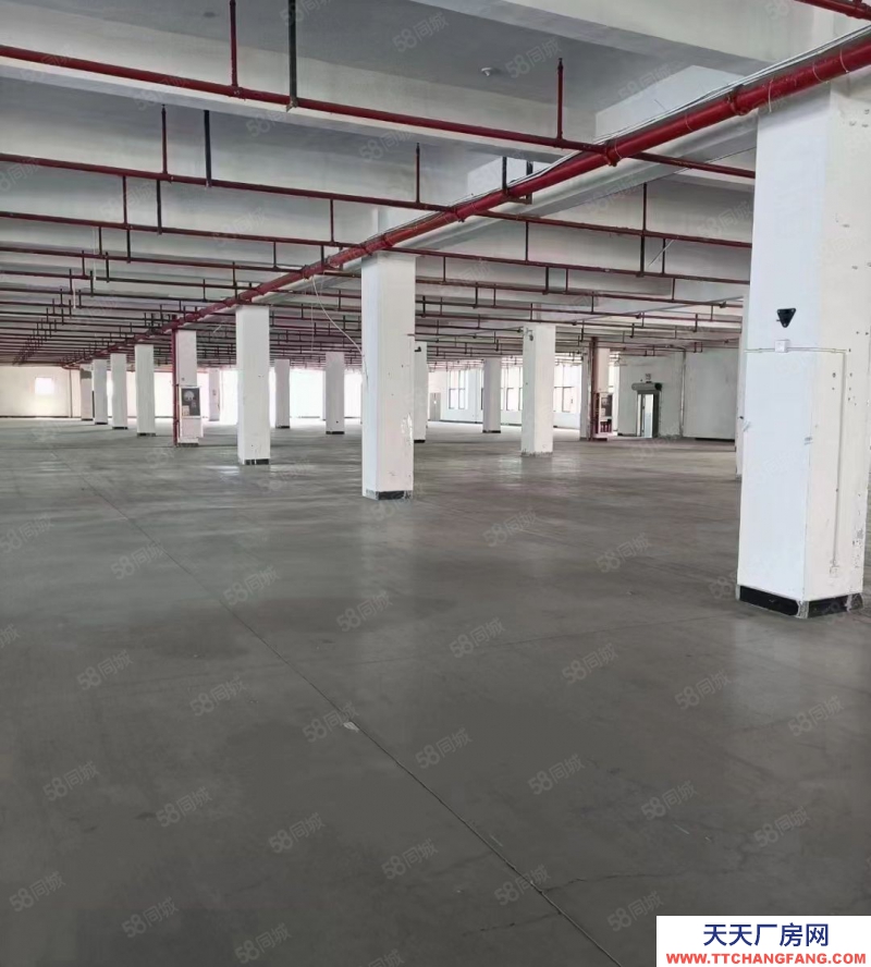 金華市金東(出租) 傅村標準廠房一樓1000平,院子大,招工方便,價格便宜位置好