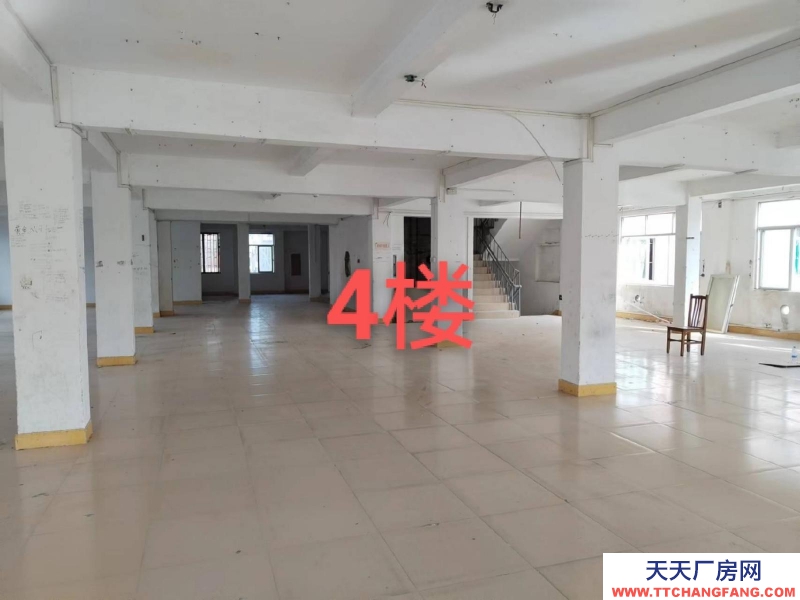 (出租) 汕尾城區可做倉庫辦公樓